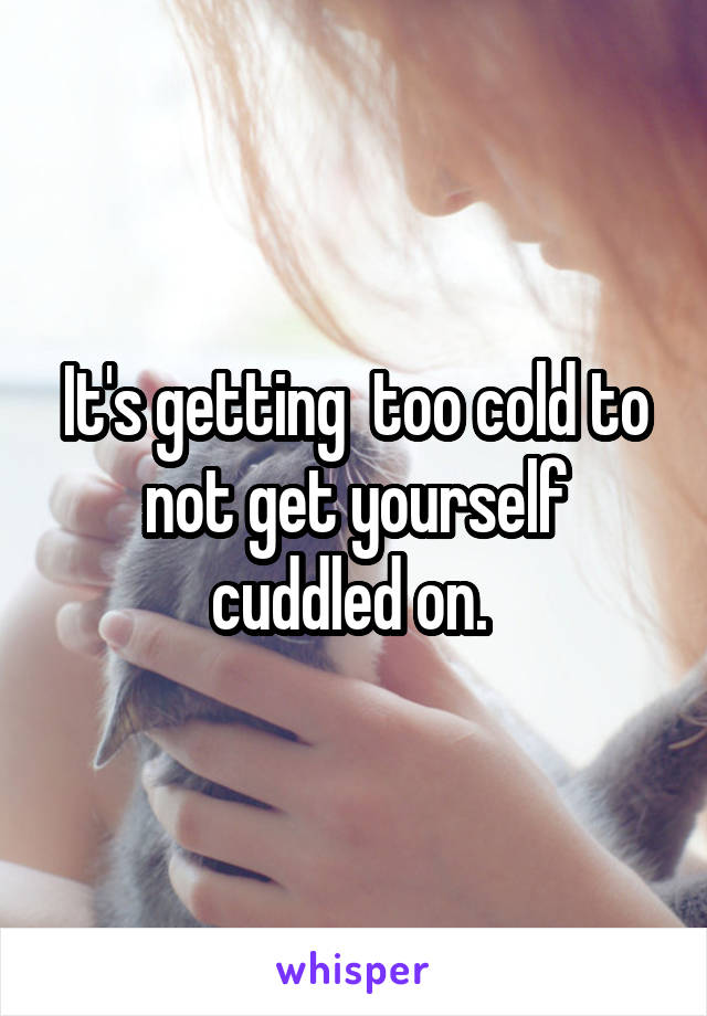 It's getting  too cold to not get yourself cuddled on. 