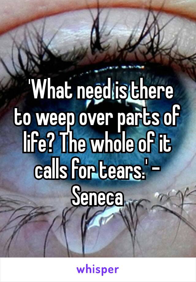  'What need is there to weep over parts of life? The whole of it calls for tears.' - Seneca