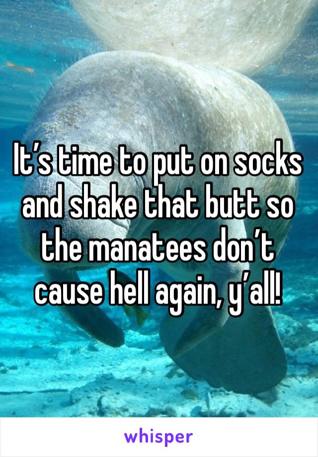 It’s time to put on socks and shake that butt so the manatees don’t cause hell again, y’all!
