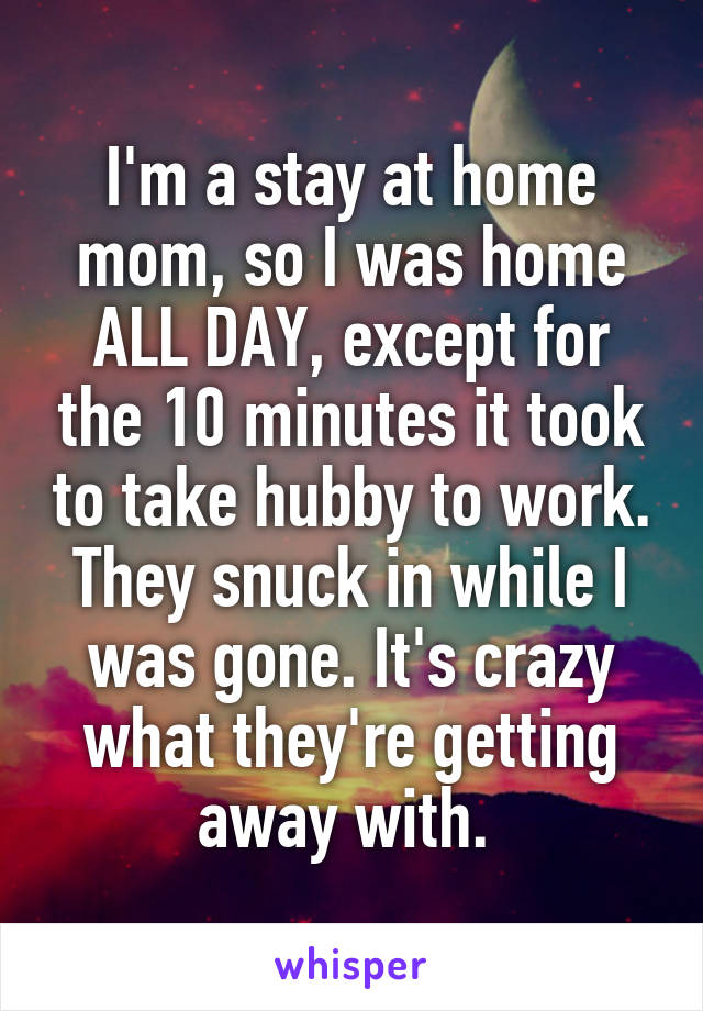 I'm a stay at home mom, so I was home ALL DAY, except for the 10 minutes it took to take hubby to work. They snuck in while I was gone. It's crazy what they're getting away with. 