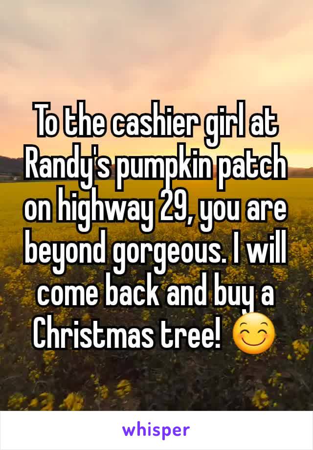 To the cashier girl at Randy's pumpkin patch on highway 29, you are beyond gorgeous. I will come back and buy a Christmas tree! 😊