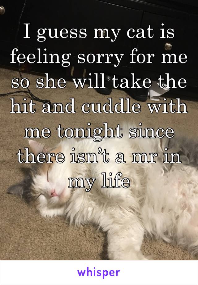 I guess my cat is feeling sorry for me so she will take the hit and cuddle with me tonight since there isn’t a mr in my life 