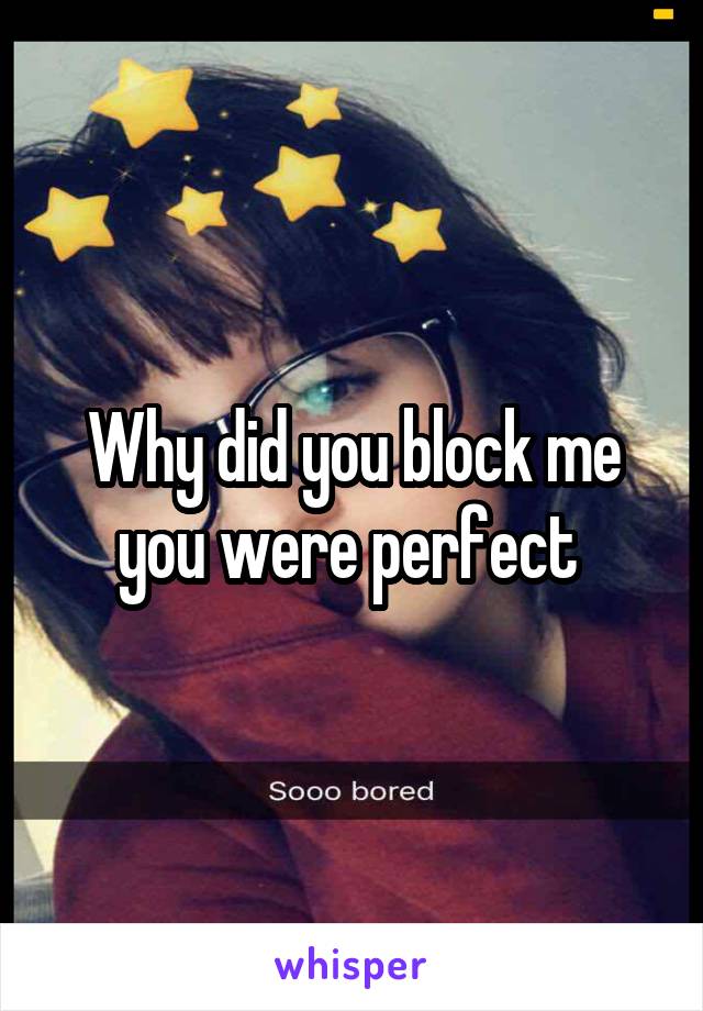 Why did you block me you were perfect 