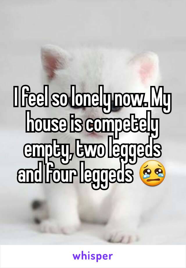 I feel so lonely now. My house is competely empty, two leggeds and four leggeds 😢