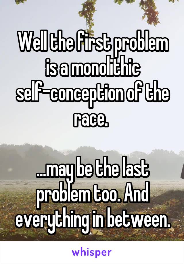 Well the first problem is a monolithic self-conception of the race. 

...may be the last problem too. And everything in between.