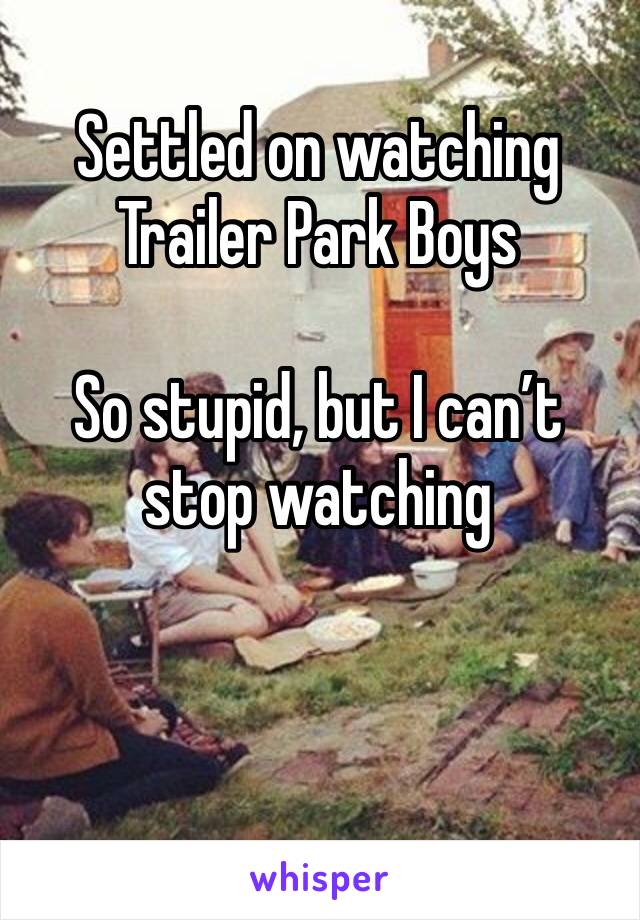 Settled on watching Trailer Park Boys 

So stupid, but I can’t stop watching 