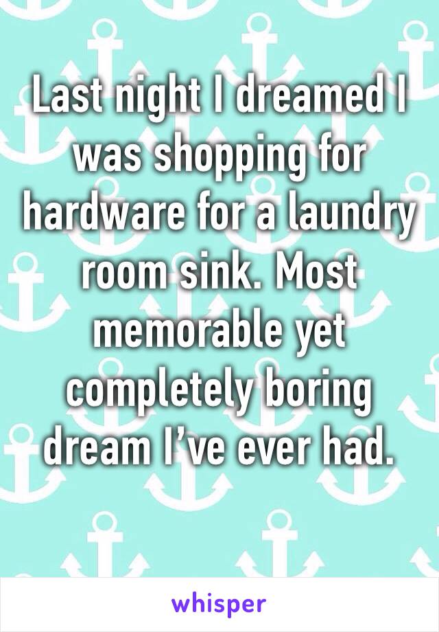 Last night I dreamed I was shopping for hardware for a laundry room sink. Most memorable yet completely boring dream I’ve ever had. 