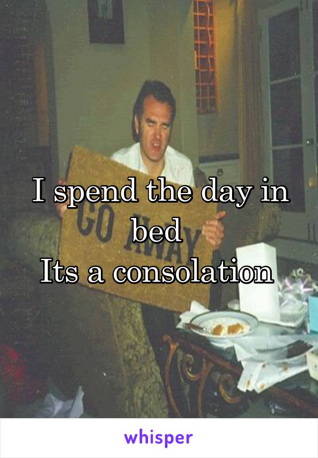 I spend the day in bed 
Its a consolation 