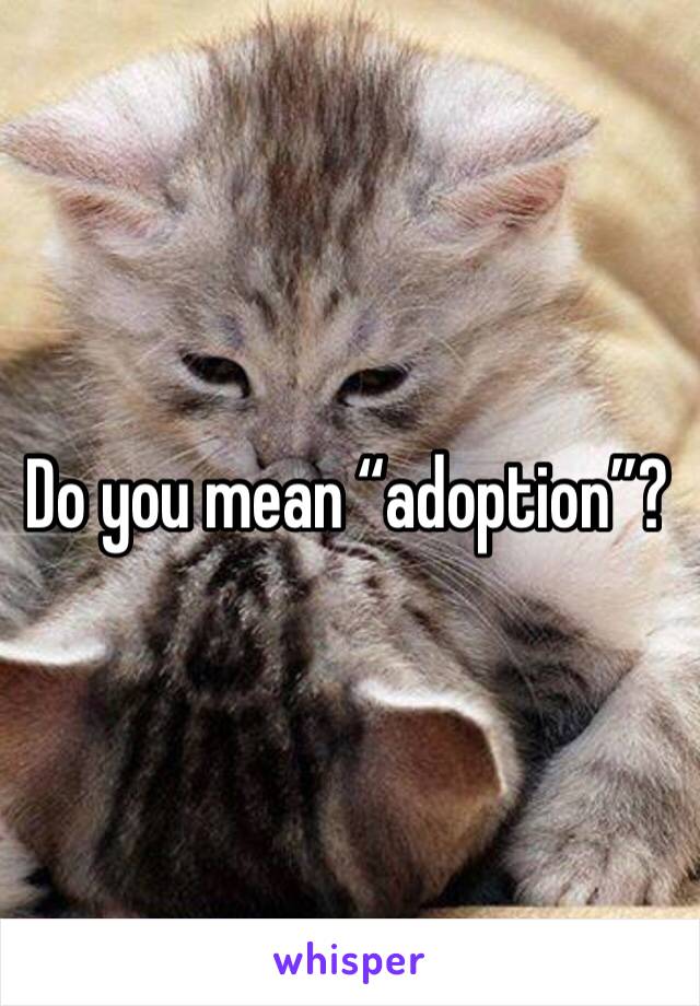 Do you mean “adoption”?