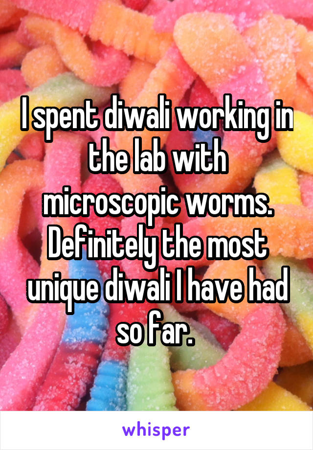 I spent diwali working in the lab with microscopic worms. Definitely the most unique diwali I have had so far. 