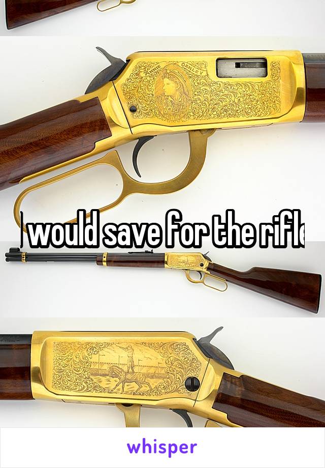 I would save for the rifle