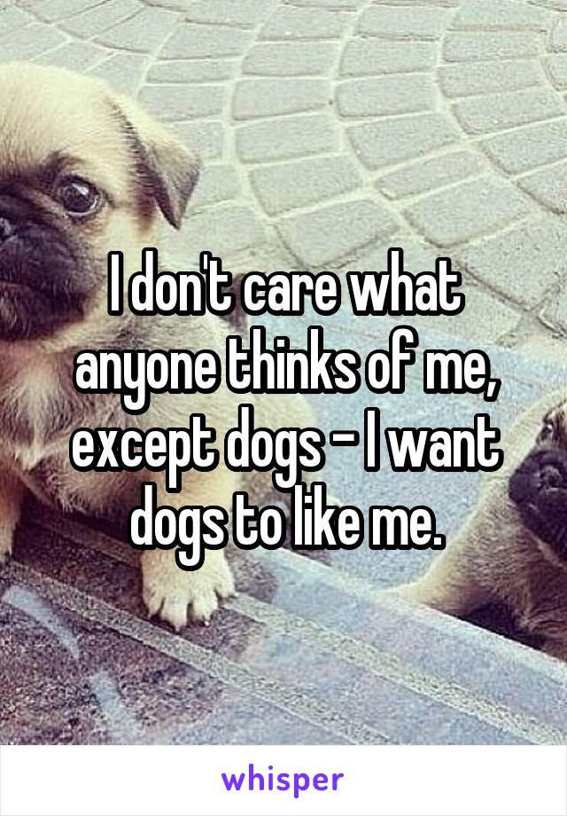 I don't care what anyone thinks of me, except dogs - I want dogs to like me.