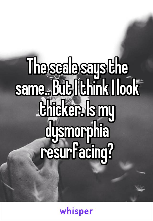 The scale says the same.. But I think I look thicker. Is my dysmorphia resurfacing?