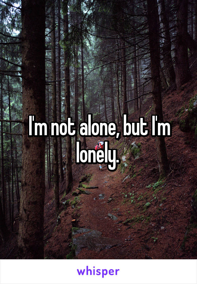 I'm not alone, but I'm lonely. 