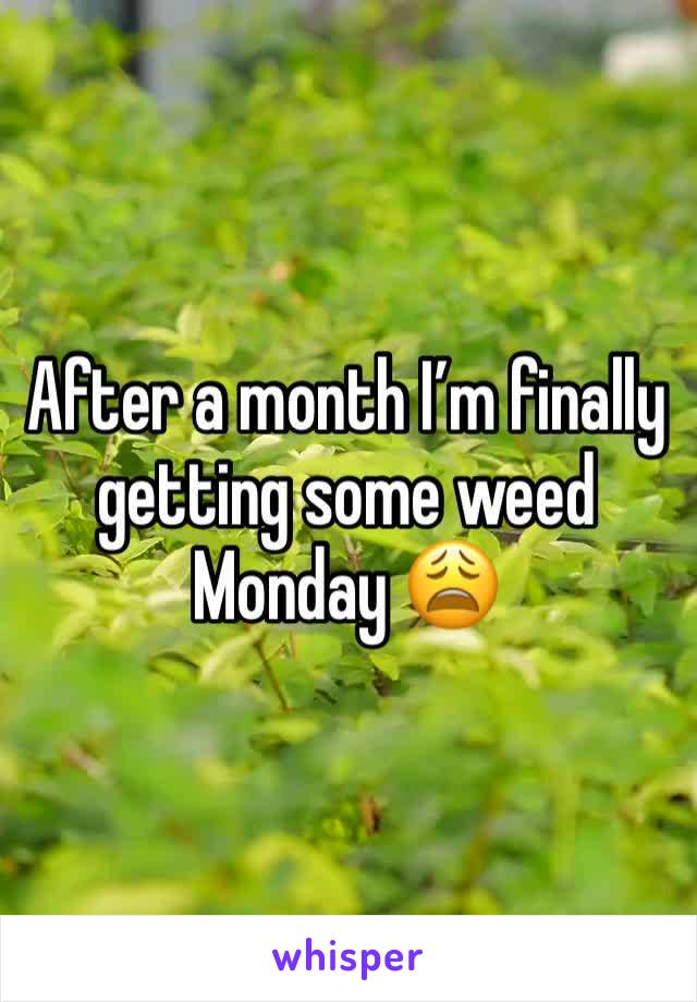 After a month I’m finally getting some weed Monday 😩