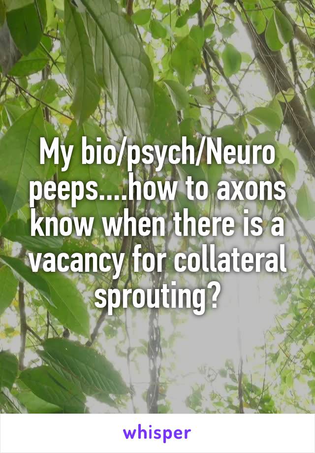 My bio/psych/Neuro peeps....how to axons know when there is a vacancy for collateral sprouting?