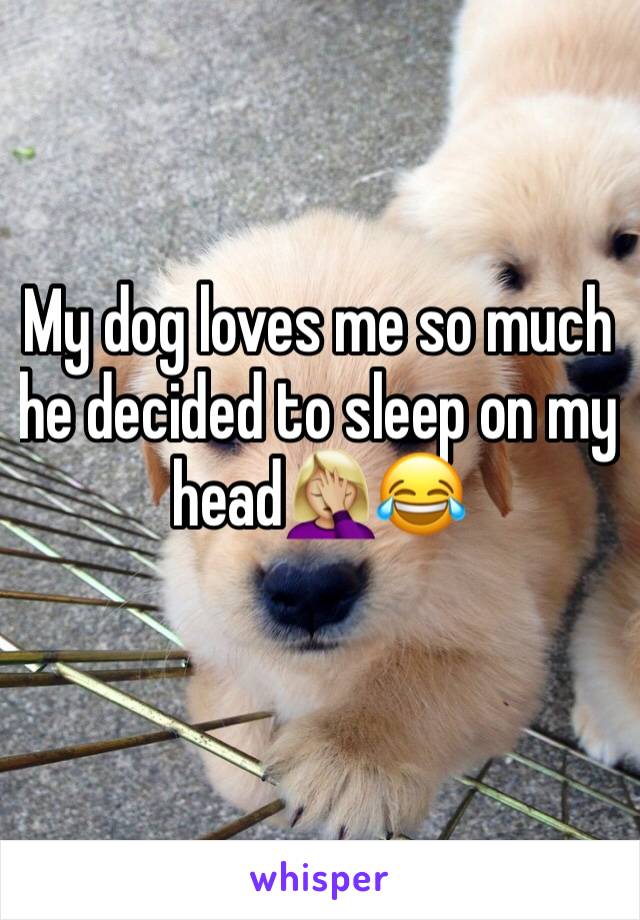 My dog loves me so much he decided to sleep on my head🤦🏼‍♀️😂