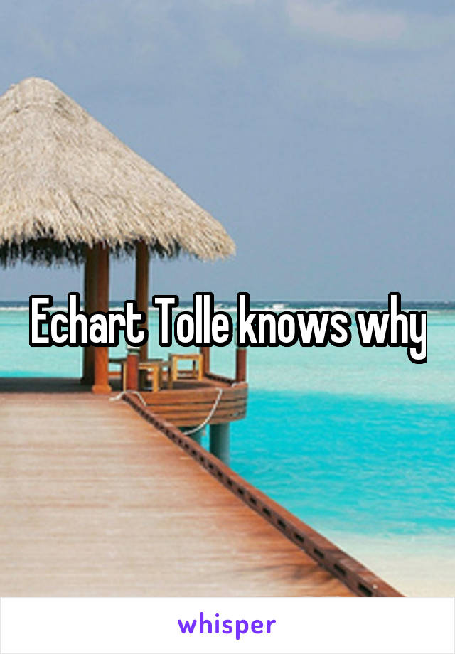 Echart Tolle knows why