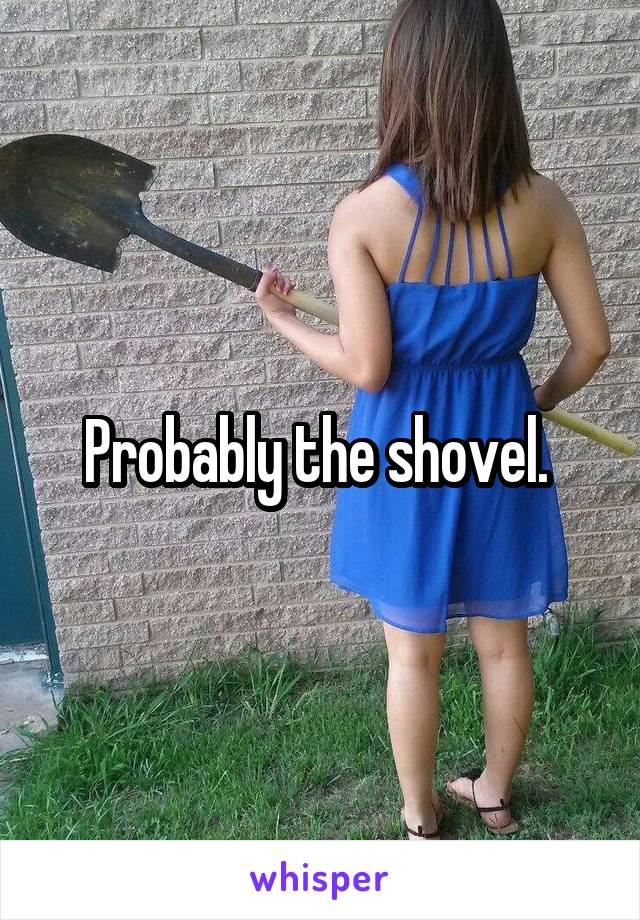 Probably the shovel. 