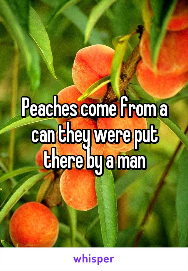 Peaches come from a can they were put there by a man