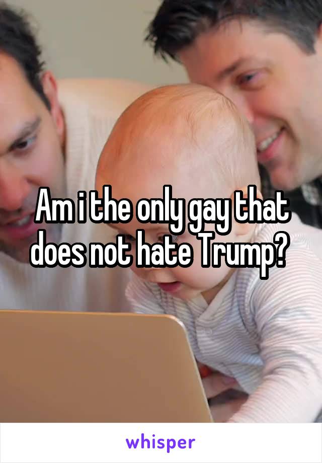 Am i the only gay that does not hate Trump? 