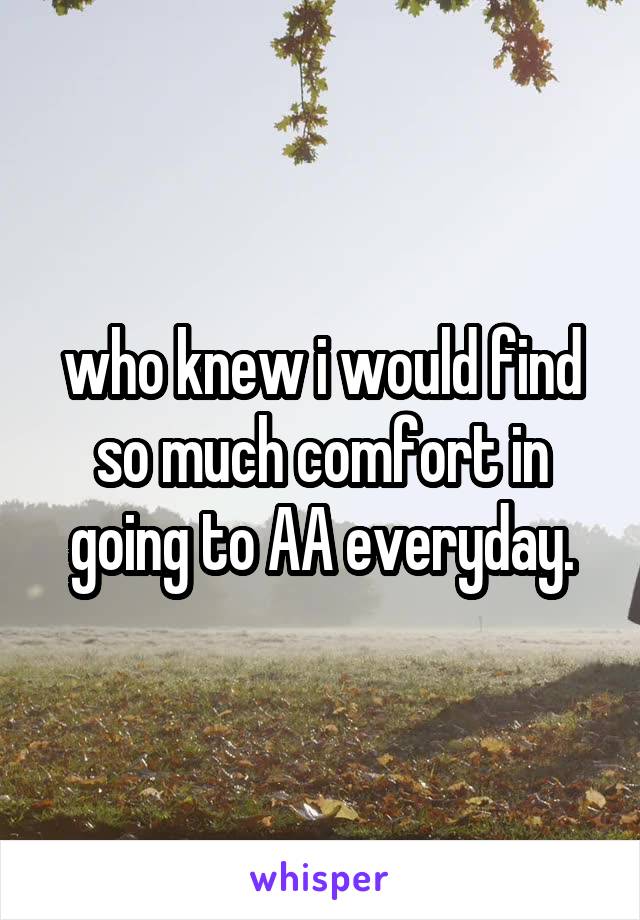 who knew i would find so much comfort in going to AA everyday.