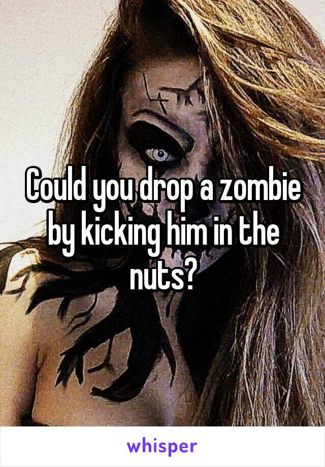 Could you drop a zombie by kicking him in the nuts?