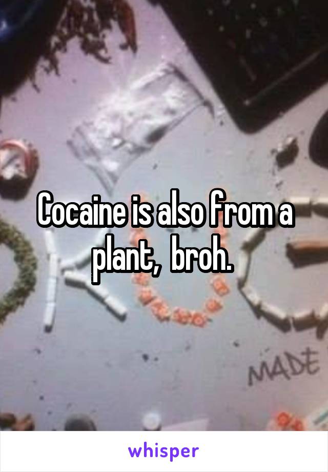 Cocaine is also from a plant,  broh. 