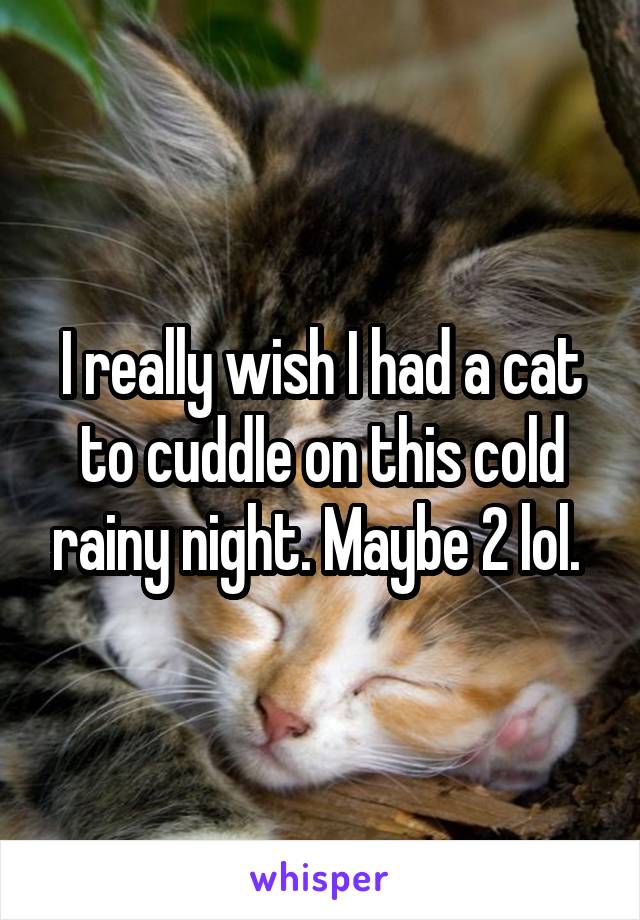 I really wish I had a cat to cuddle on this cold rainy night. Maybe 2 lol. 
