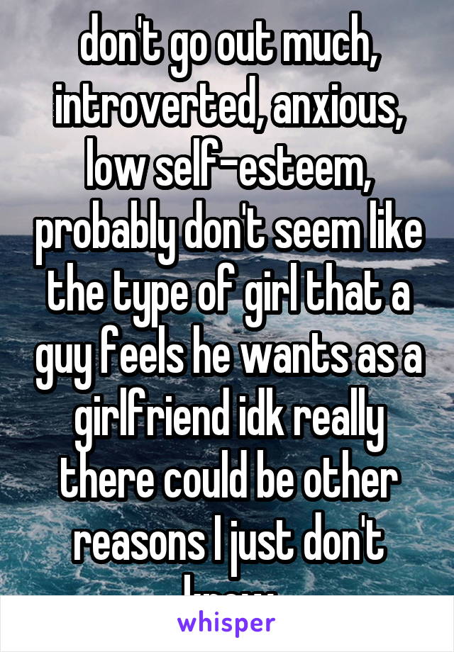 don't go out much, introverted, anxious, low self-esteem, probably don't seem like the type of girl that a guy feels he wants as a girlfriend idk really there could be other reasons I just don't know