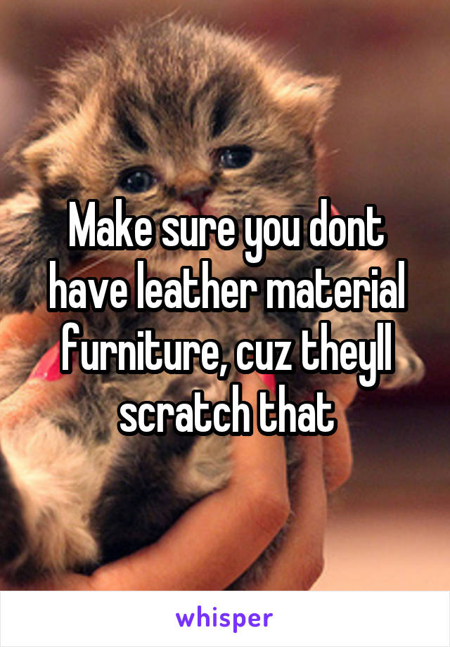 Make sure you dont have leather material furniture, cuz theyll scratch that