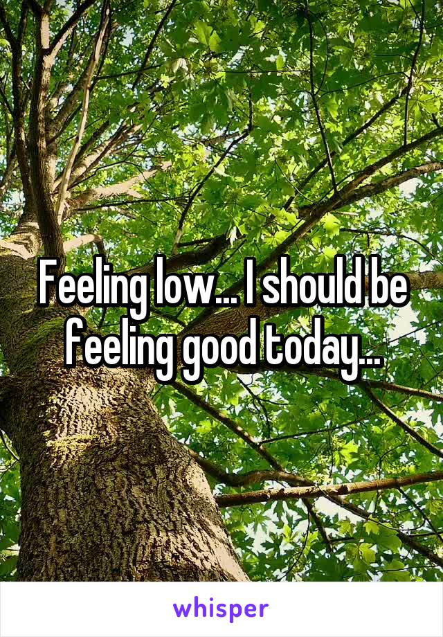 Feeling low... I should be feeling good today...