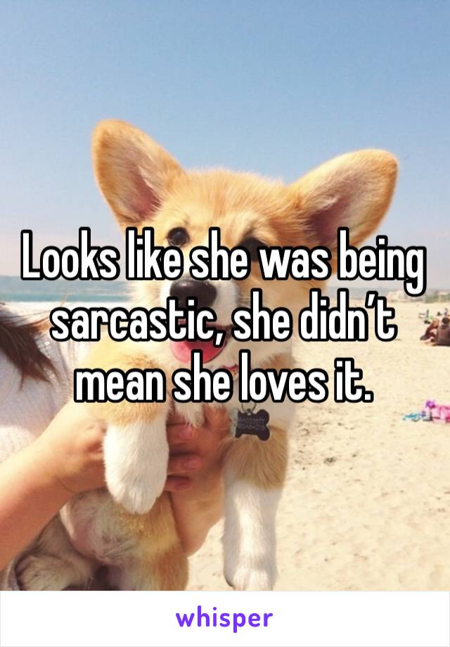 Looks like she was being sarcastic, she didn’t mean she loves it.