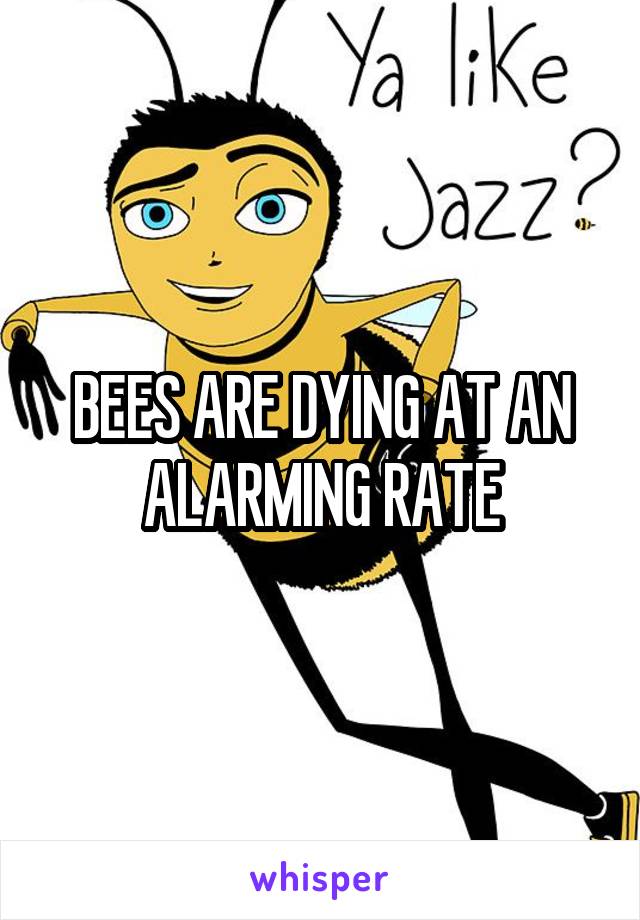 BEES ARE DYING AT AN ALARMING RATE