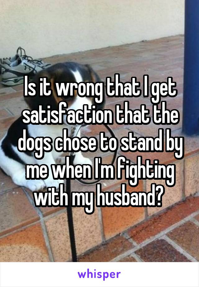 Is it wrong that I get satisfaction that the dogs chose to stand by me when I'm fighting with my husband? 