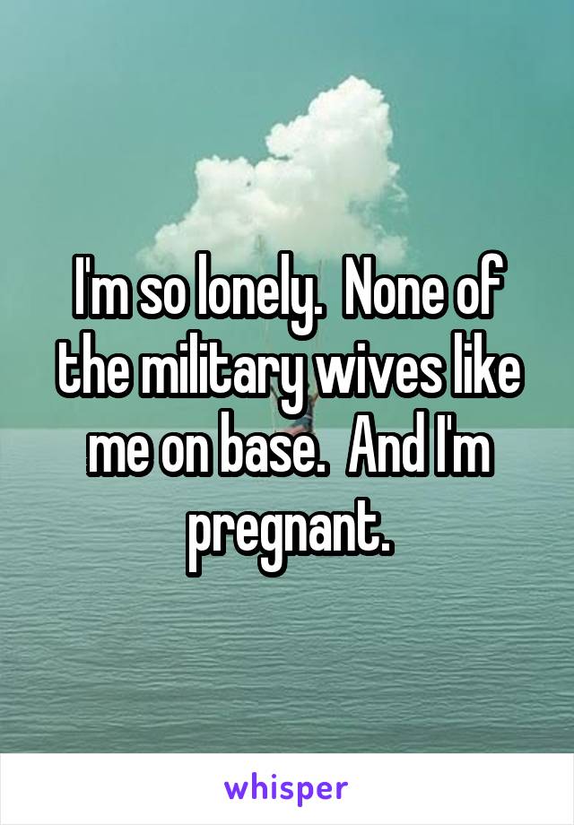 I'm so lonely.  None of the military wives like me on base.  And I'm pregnant.