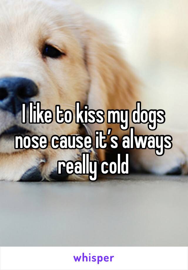 I like to kiss my dogs nose cause it’s always really cold
