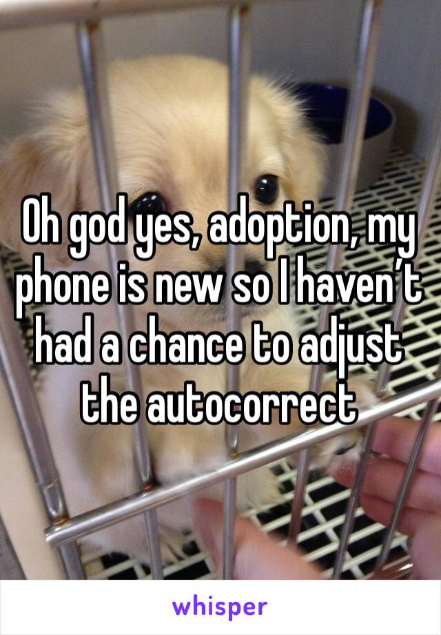 Oh god yes, adoption, my phone is new so I haven’t had a chance to adjust the autocorrect 