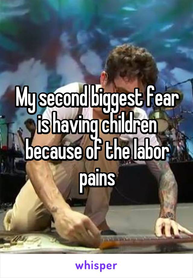 My second biggest fear is having children because of the labor pains