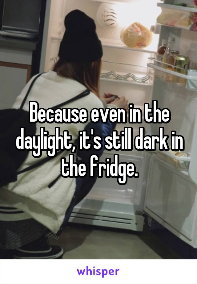 Because even in the daylight, it's still dark in the fridge.