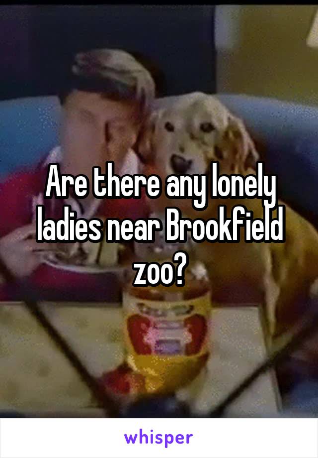 Are there any lonely ladies near Brookfield zoo?