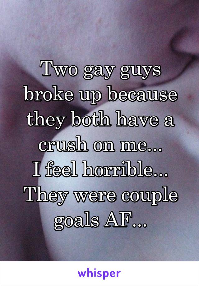 Two gay guys broke up because they both have a crush on me...
I feel horrible...
They were couple goals AF...
