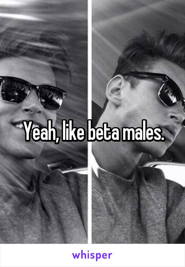 Yeah, like beta males.