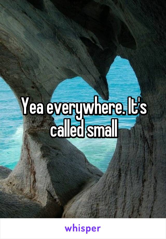 Yea everywhere. It's called small