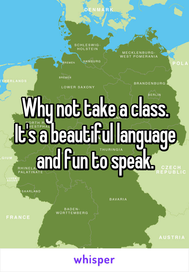 Why not take a class. It's a beautiful language and fun to speak.