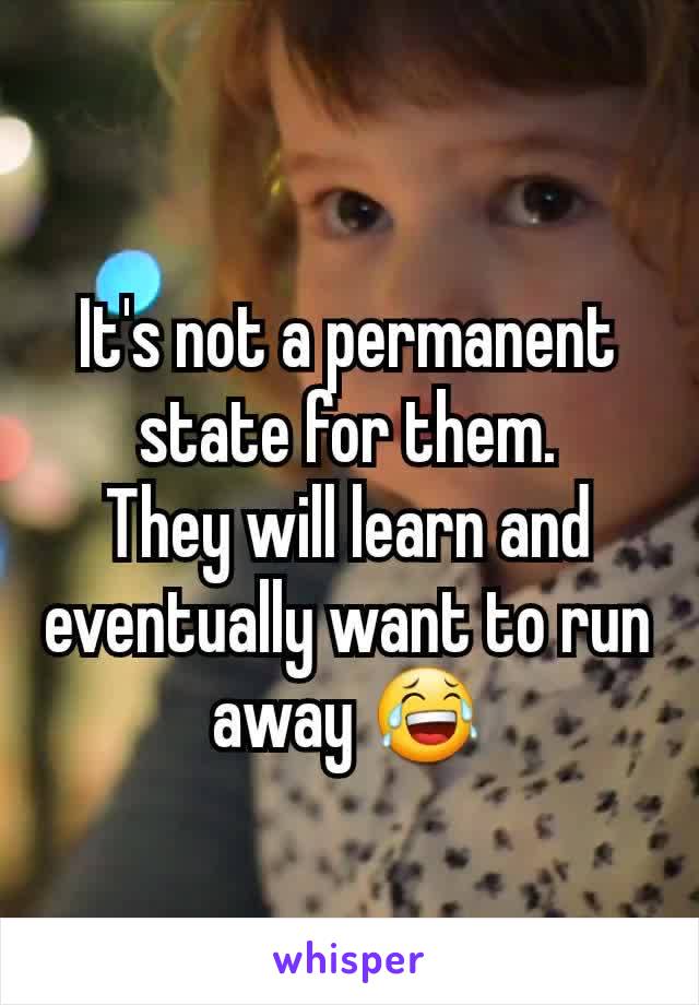 It's not a permanent state for them.
They will learn and eventually want to run away 😂
