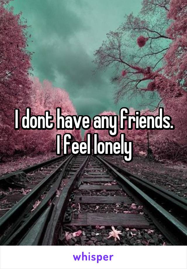 I dont have any friends. I feel lonely