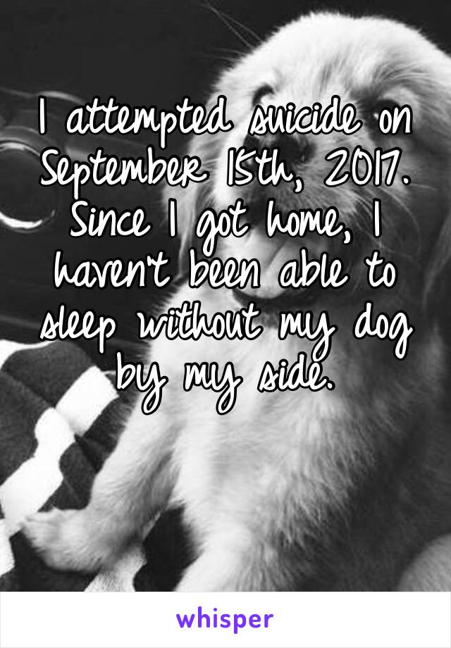 I attempted suicide on September 15th, 2017. Since I got home, I haven’t been able to sleep without my dog by my side. 