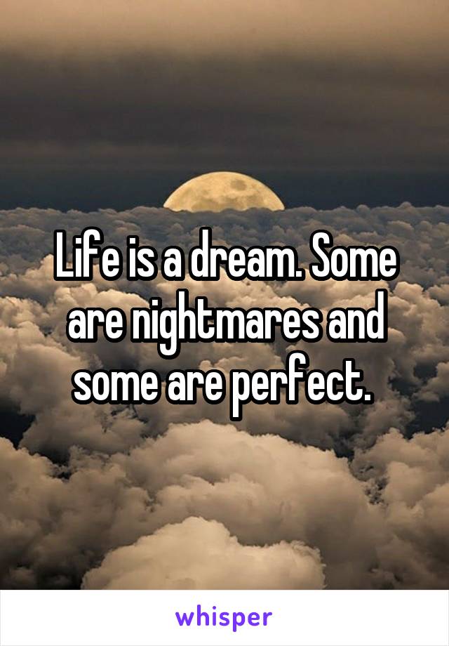 Life is a dream. Some are nightmares and some are perfect. 
