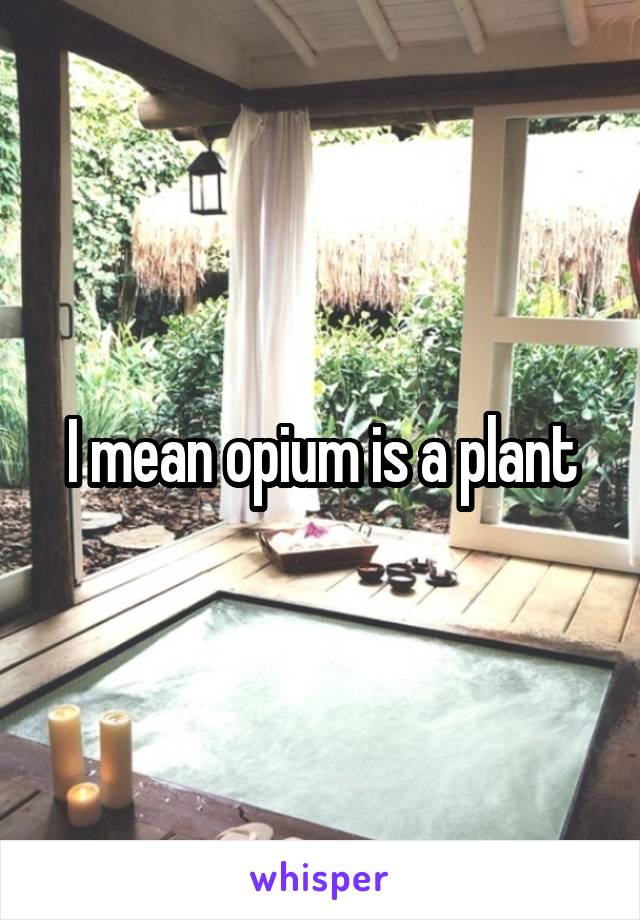 I mean opium is a plant